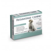 Resvantage Canine 白藜蘆醇老年抗衰老及抗癌 30粒 (狗食用）